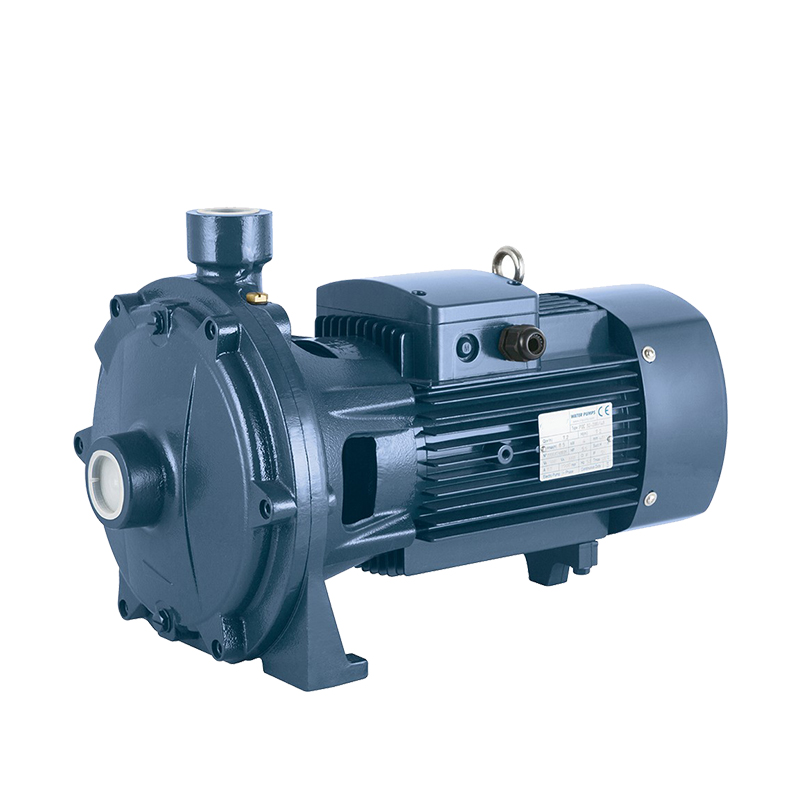 P2C High Pressure thread port Double Impeller Close Copula Pump