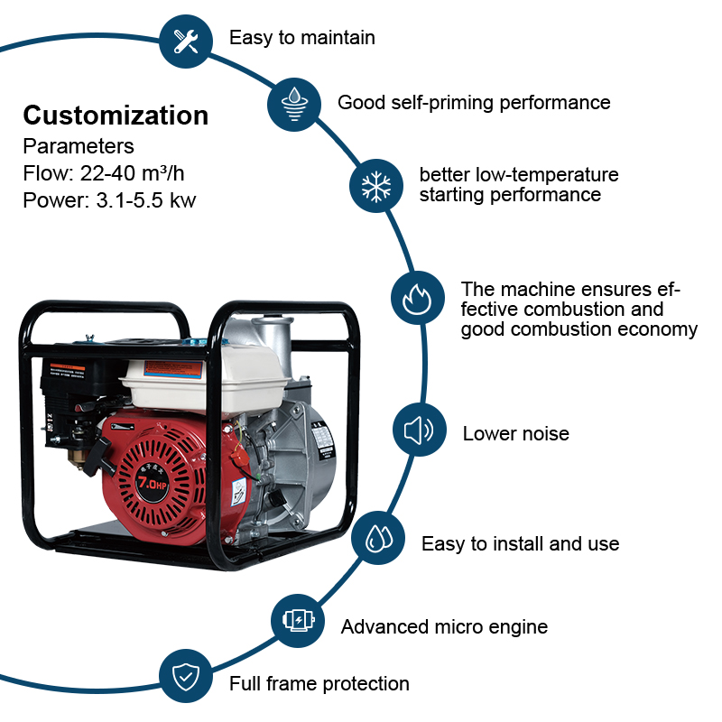 Portable Agriculture Gasoline Engine Clean Water Pump WP30