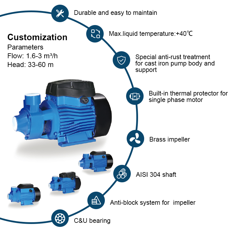 QB-60 Electric Industrial Centrifuga Clear Clean Water Pump Pool Stad 370W