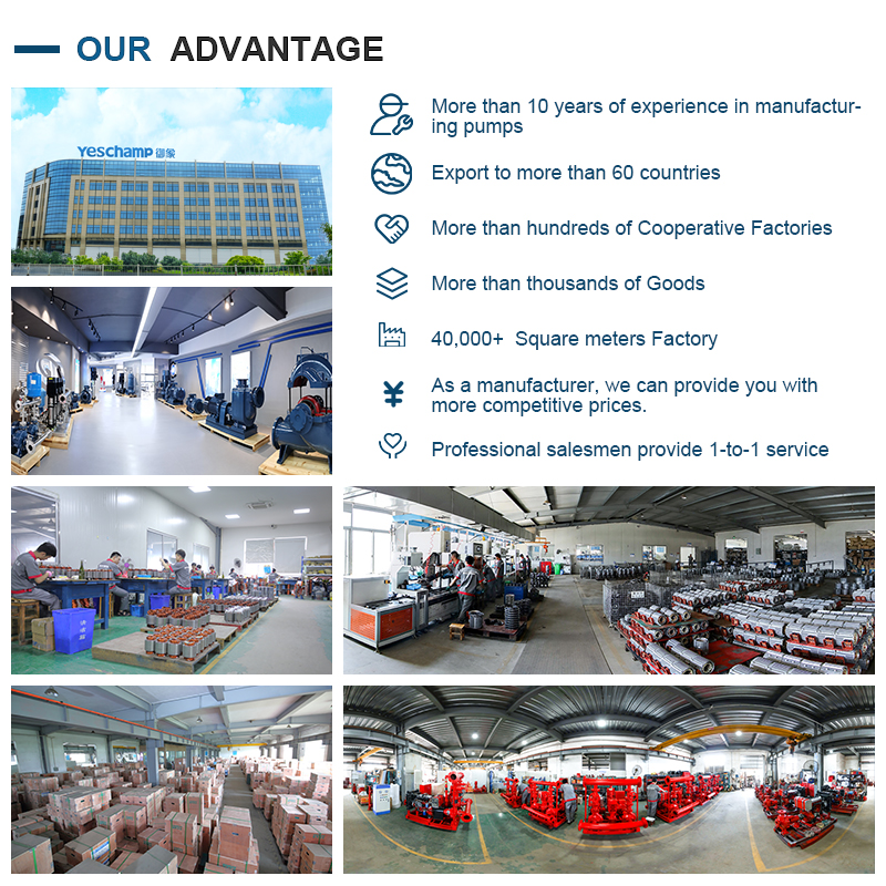 Quadratus Testa Geminus-Valve Capacitors Single Phase Induction Motor with Steel Terminal Box