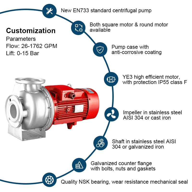 Horizontal Steel Standard Centrifuga Pump enim ignis Pugnans