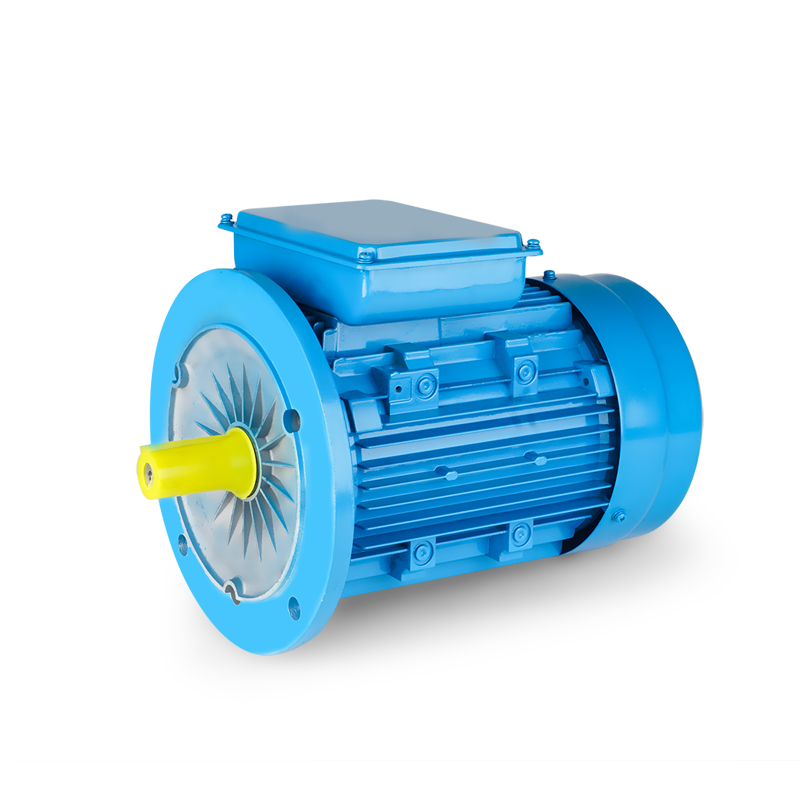 YL Series Duo-Valvae Capacitas Motor Inductio cum LABIUM adscendens