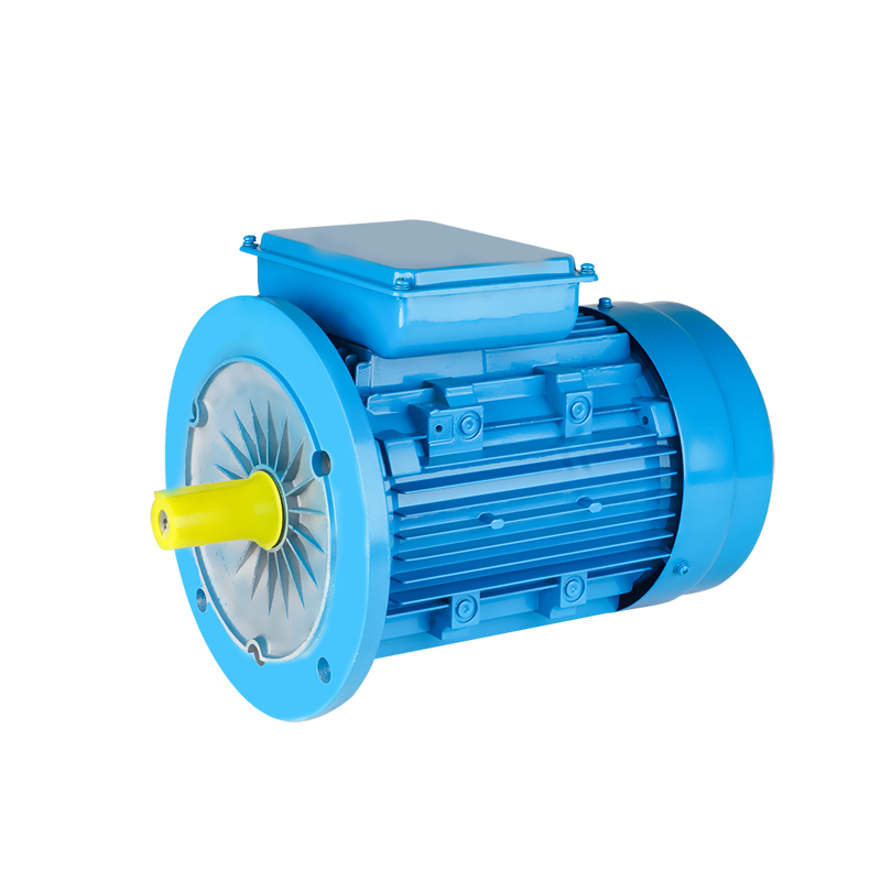 YL Series Duo-Valvae Capacitas Motor Inductio cum LABIUM adscendens